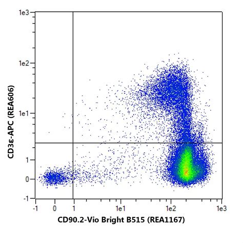 cd90.2 cell